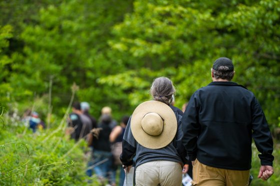 Two people with their backs turned to the camera, walking along a forest path.